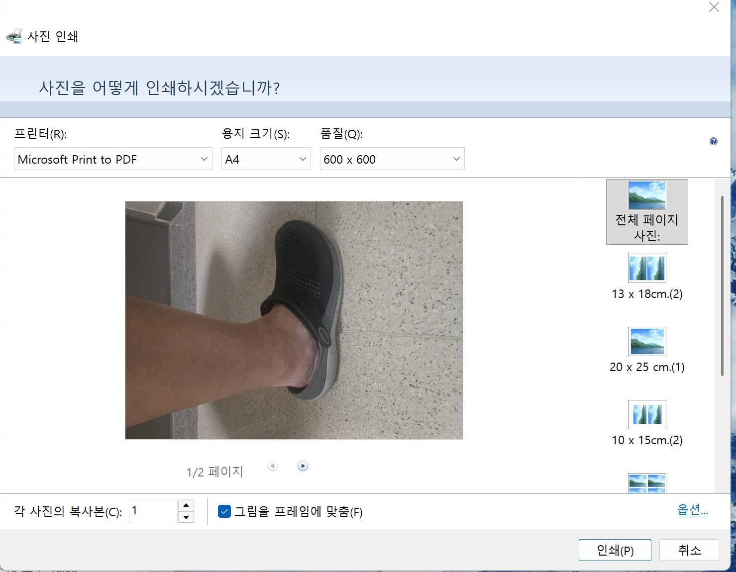 윈도우 사진 인쇄 창. 프린터가 Microsoft Print to PDF로 선택돼 있고 1/2 페이지로 표시된다