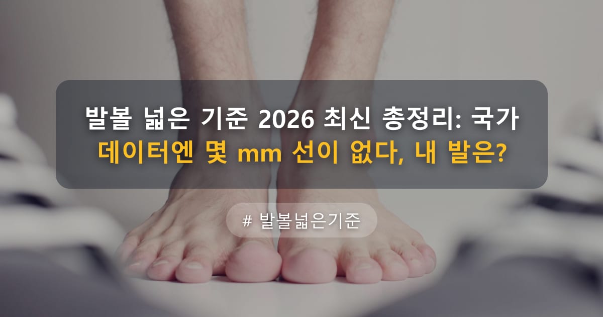 발볼 넓은 기준 2026 최신 총정리: 국가 데이터엔 몇 mm 선이 없다, 내 발은? — 글 대표 이미지