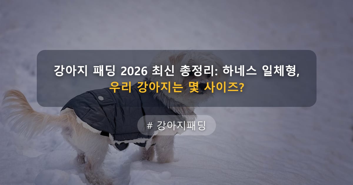 강아지 패딩 2026 최신 총정리: 하네스 일체형, 우리 강아지는 몇 사이즈?