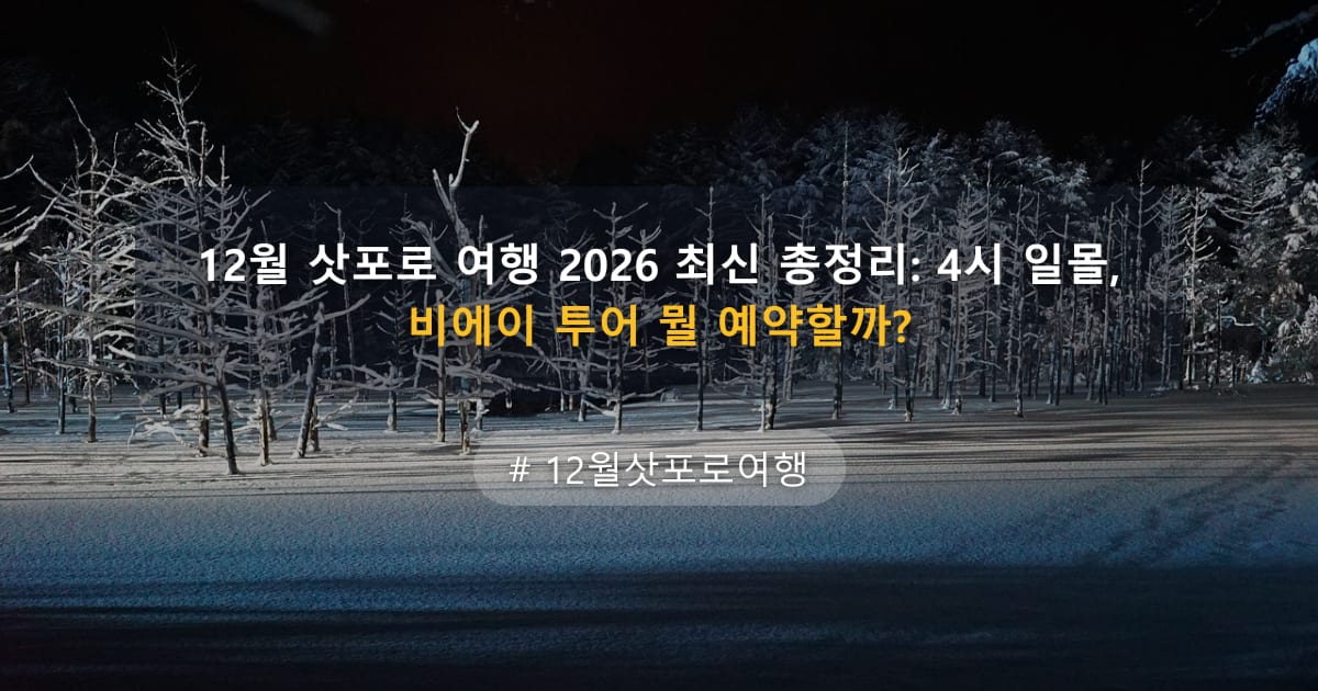12월 삿포로 여행 2026 최신 총정리: 4시 일몰, 비에이 투어 뭘 예약할까? — 글 대표 이미지