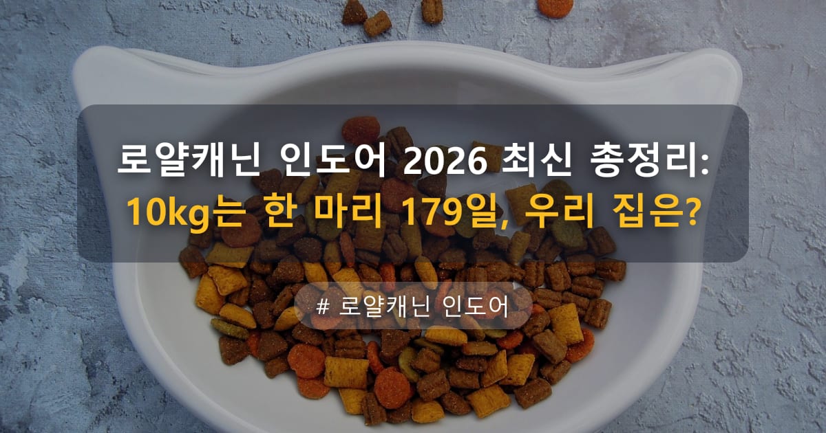 로얄캐닌 인도어 2026 최신 총정리: 10kg는 한 마리 179일, 우리 집은?
