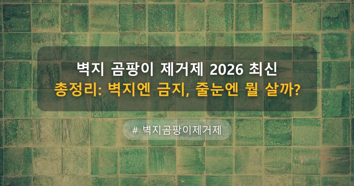 벽지 곰팡이 제거제 2026 최신 총정리: 벽지엔 금지, 줄눈엔 뭘 살까? — 글 대표 이미지