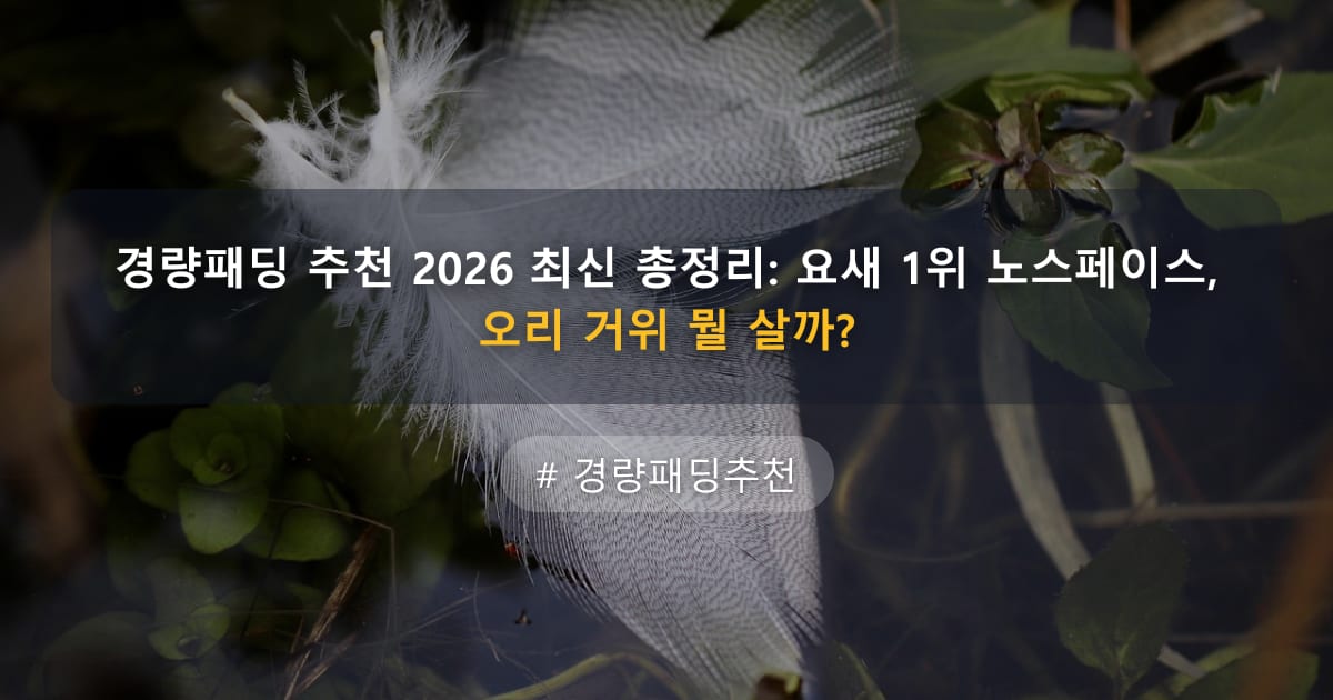 경량패딩 추천 2026 최신 총정리: 요새 1위 노스페이스, 오리 거위 뭘 살까? — 글 대표 이미지